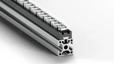 Roller chain guide TYPE TS SNAP-TRICK